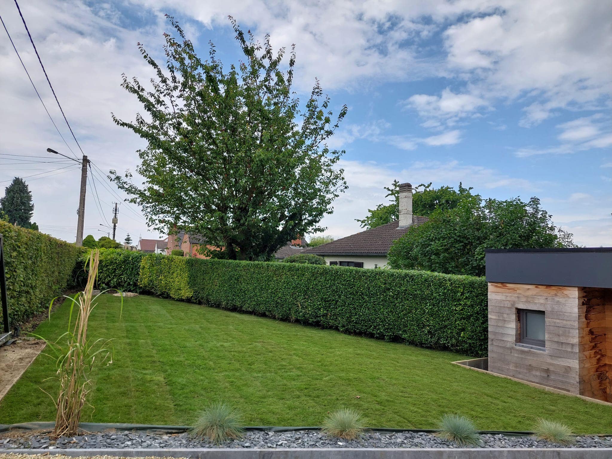 Taille et élagage Matterre